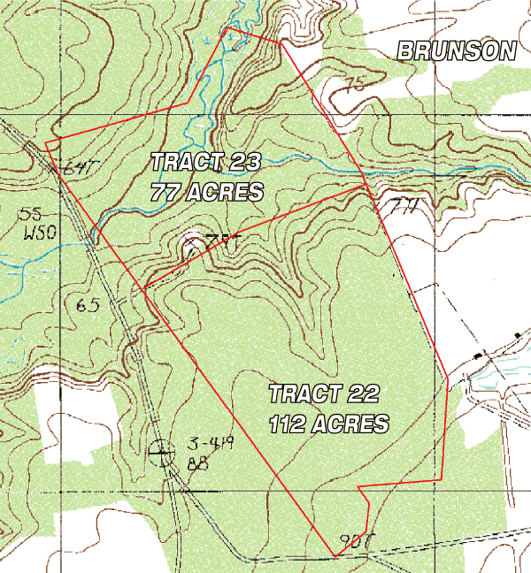 Topo Map - Brunson